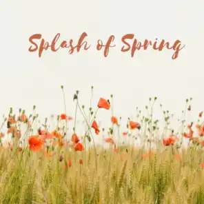 Splash of Spring