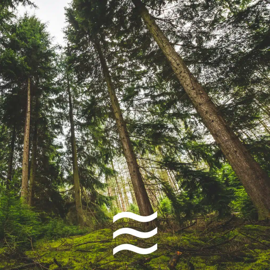 Rain Sound For Sleep