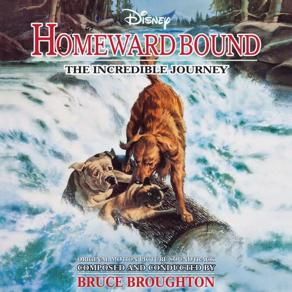 The Cougar! (From "Homeward Bound: The Incredible Journey"/Score)