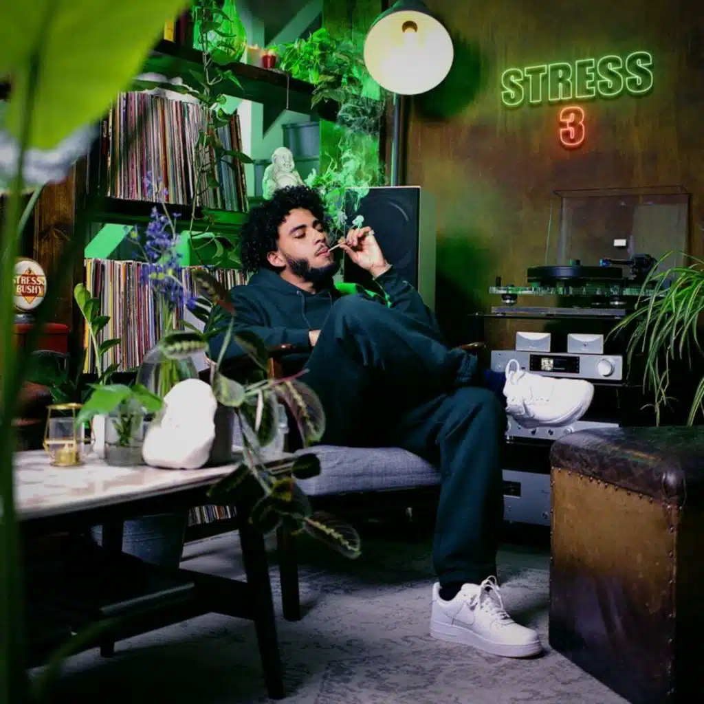 Stress 3