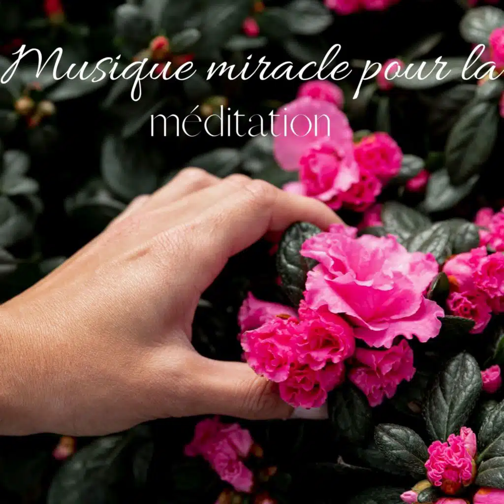 Expérience hors du corps