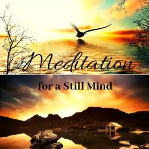 Peace & Mindfulness