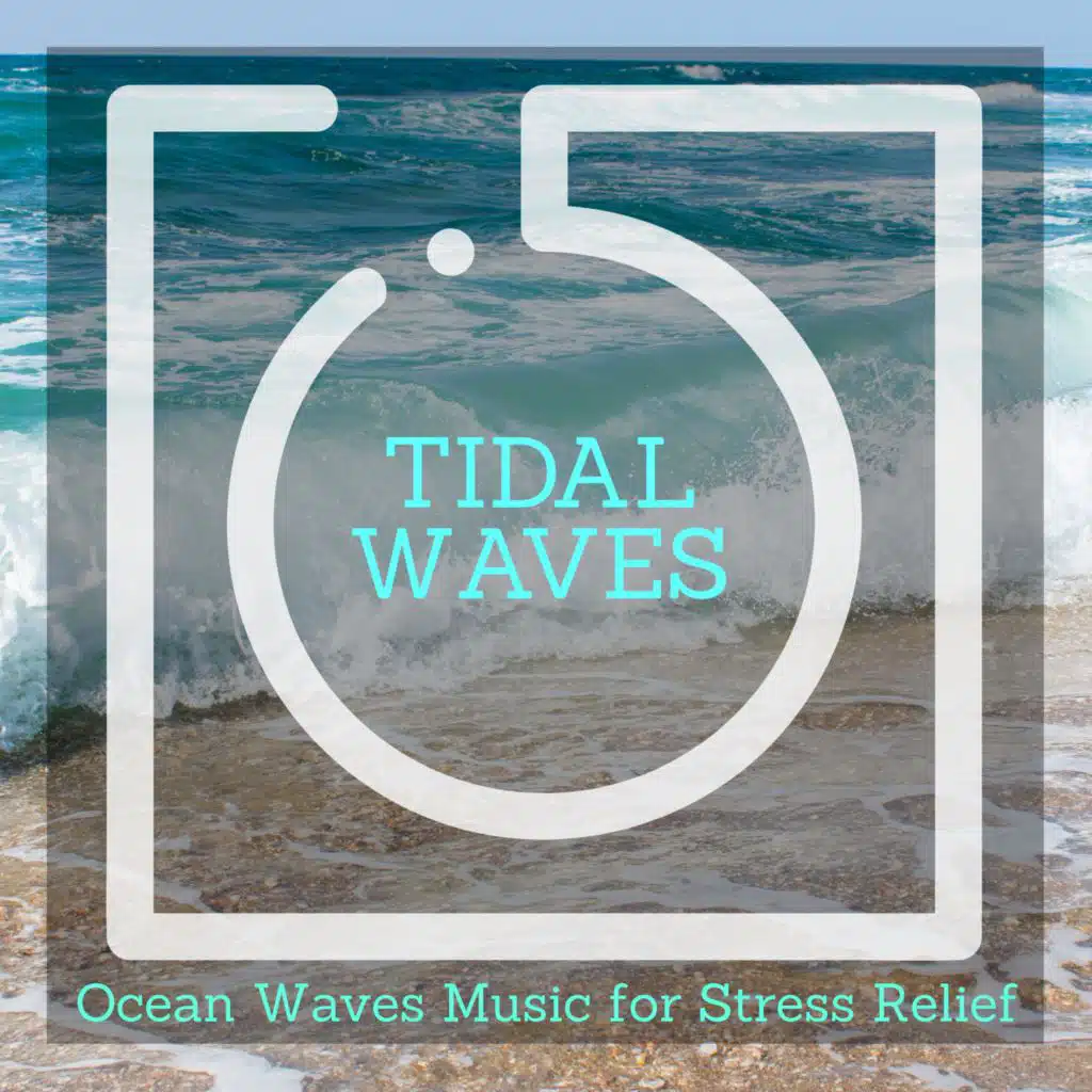 Amys Divine Nature Project