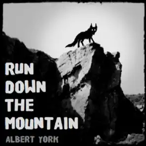 Run Down the Mountain