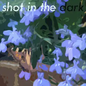 shot in the dark