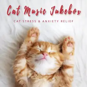 Cat Stress & Anxiety Relief