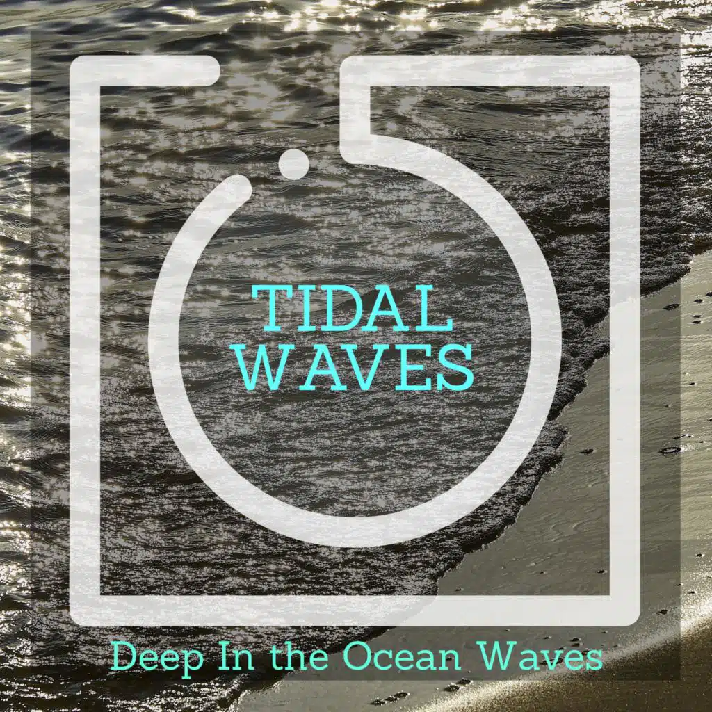 Ocean Light Music Project