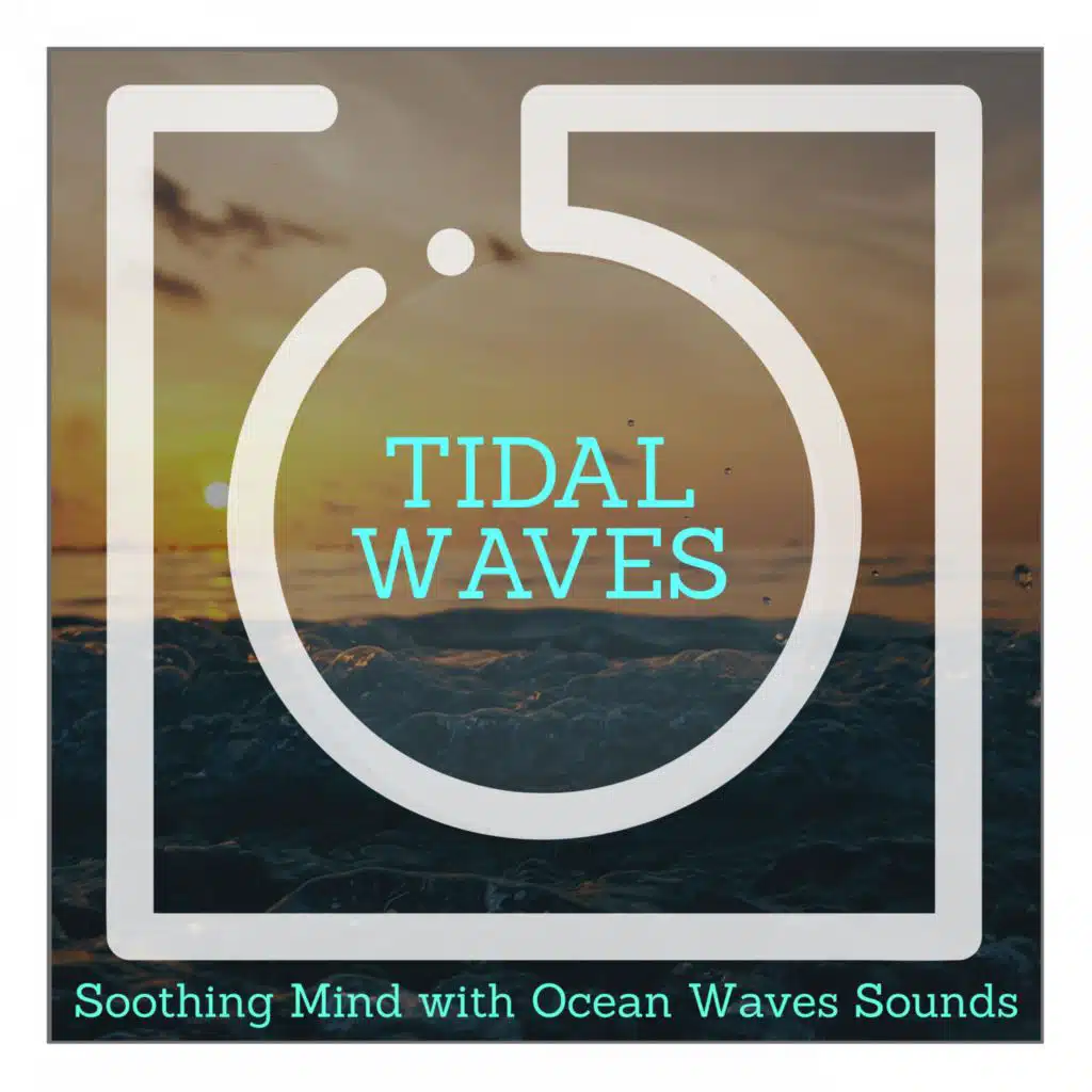 Memories of Forest Night