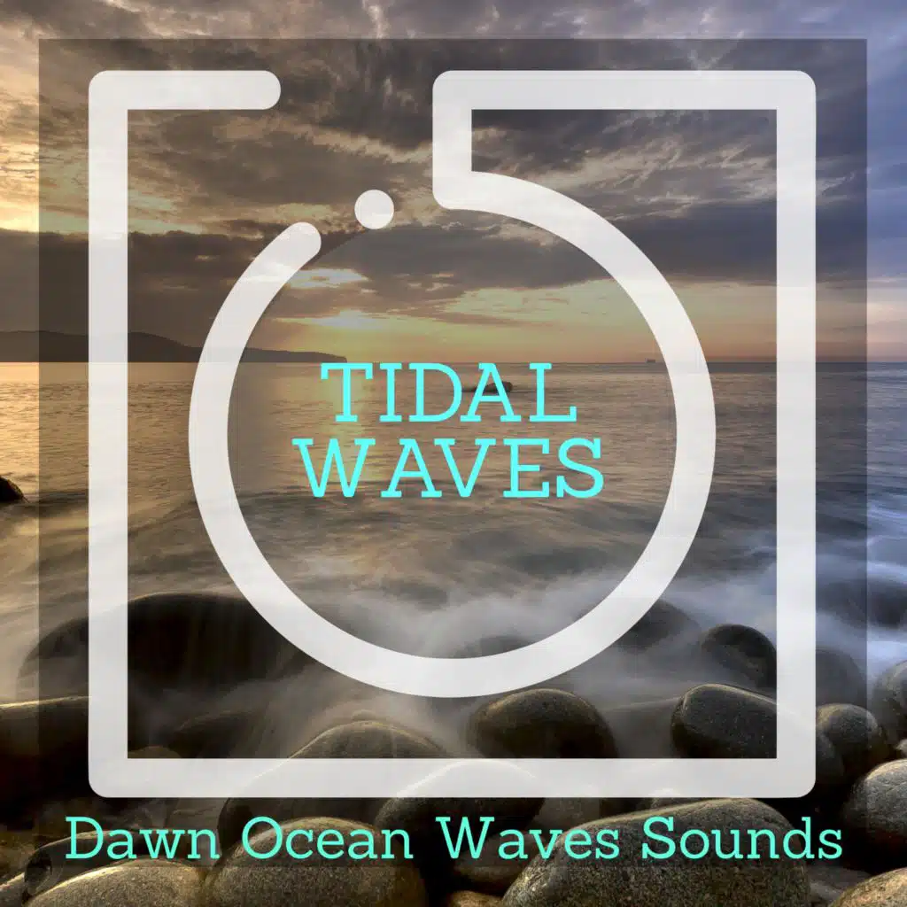 Miniature Woodland Fire Noise