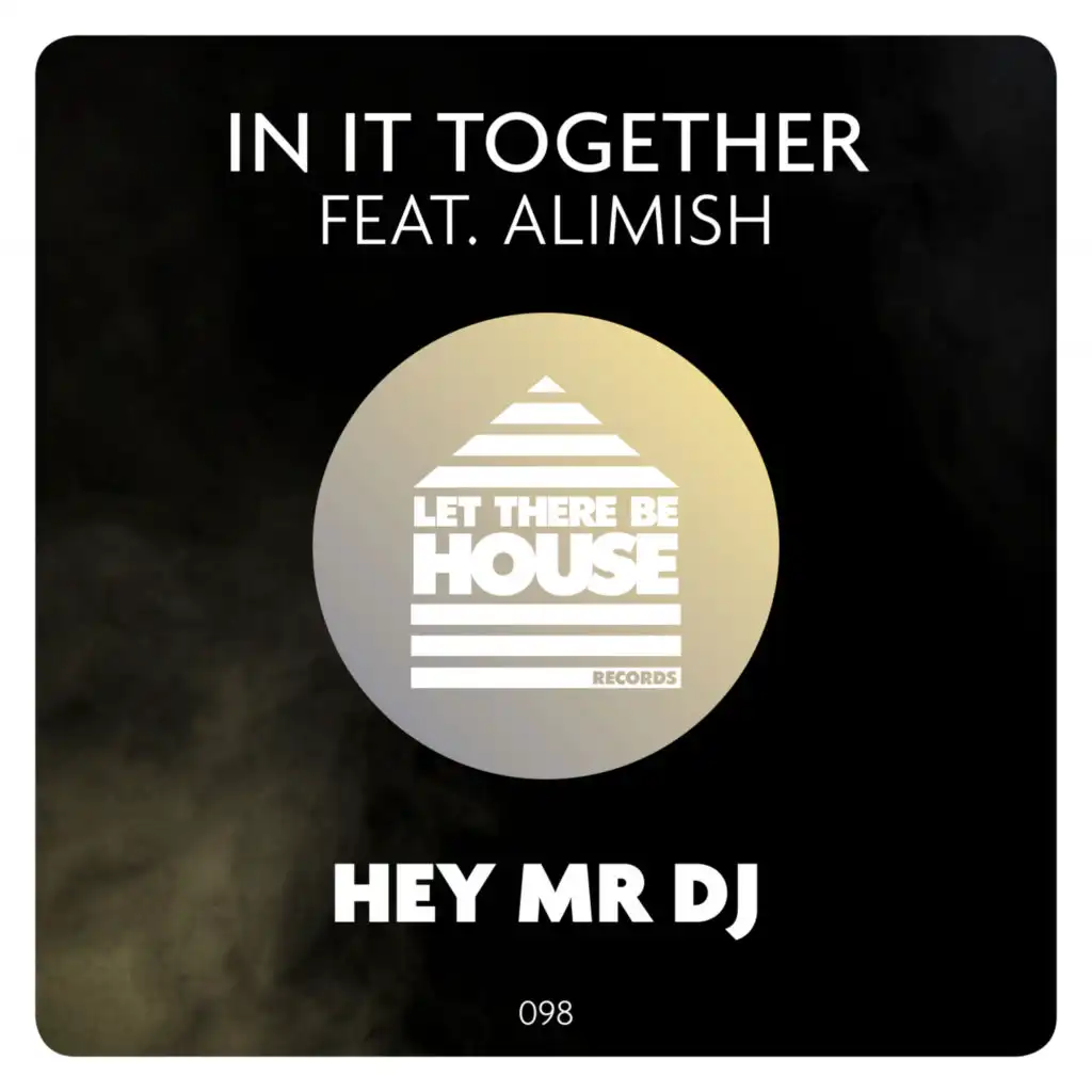 Hey Mr DJ (Extended Mix)