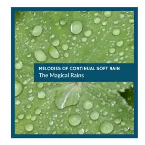 Melodies of Continual Soft Rain - The Magical Rains
