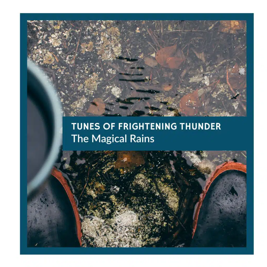 Water Trickles Nature Studio