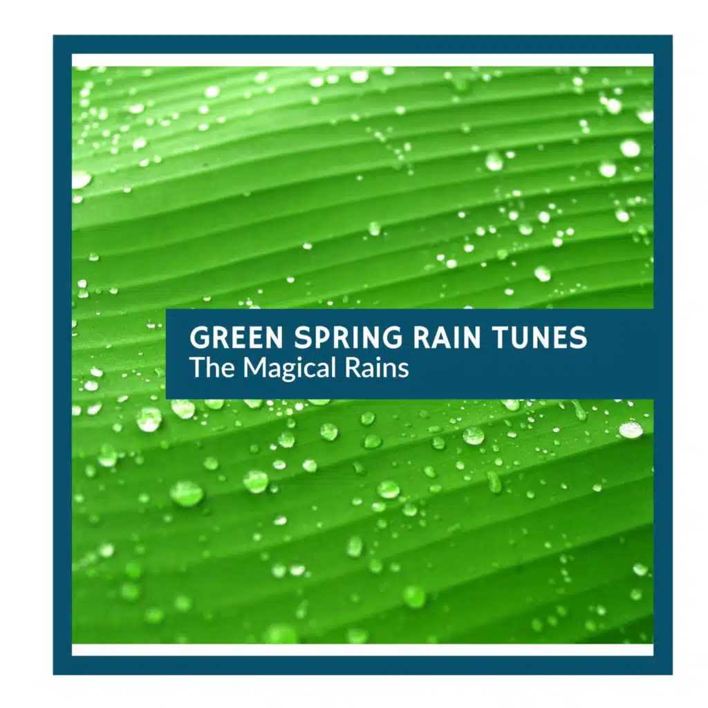 Rain n Water Flow Nature Music