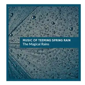 Raindoors Nature Music Records