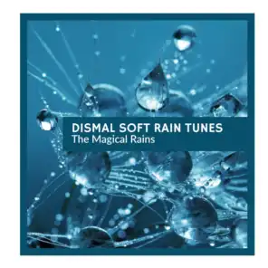 Dismal Soft Rain Tunes - The Magical Rains