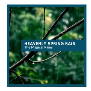 Heavenly Spring Rain - The Magical Rains