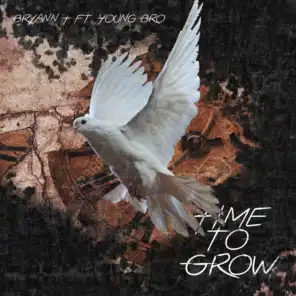 Time to Grow (feat. Young Bro)