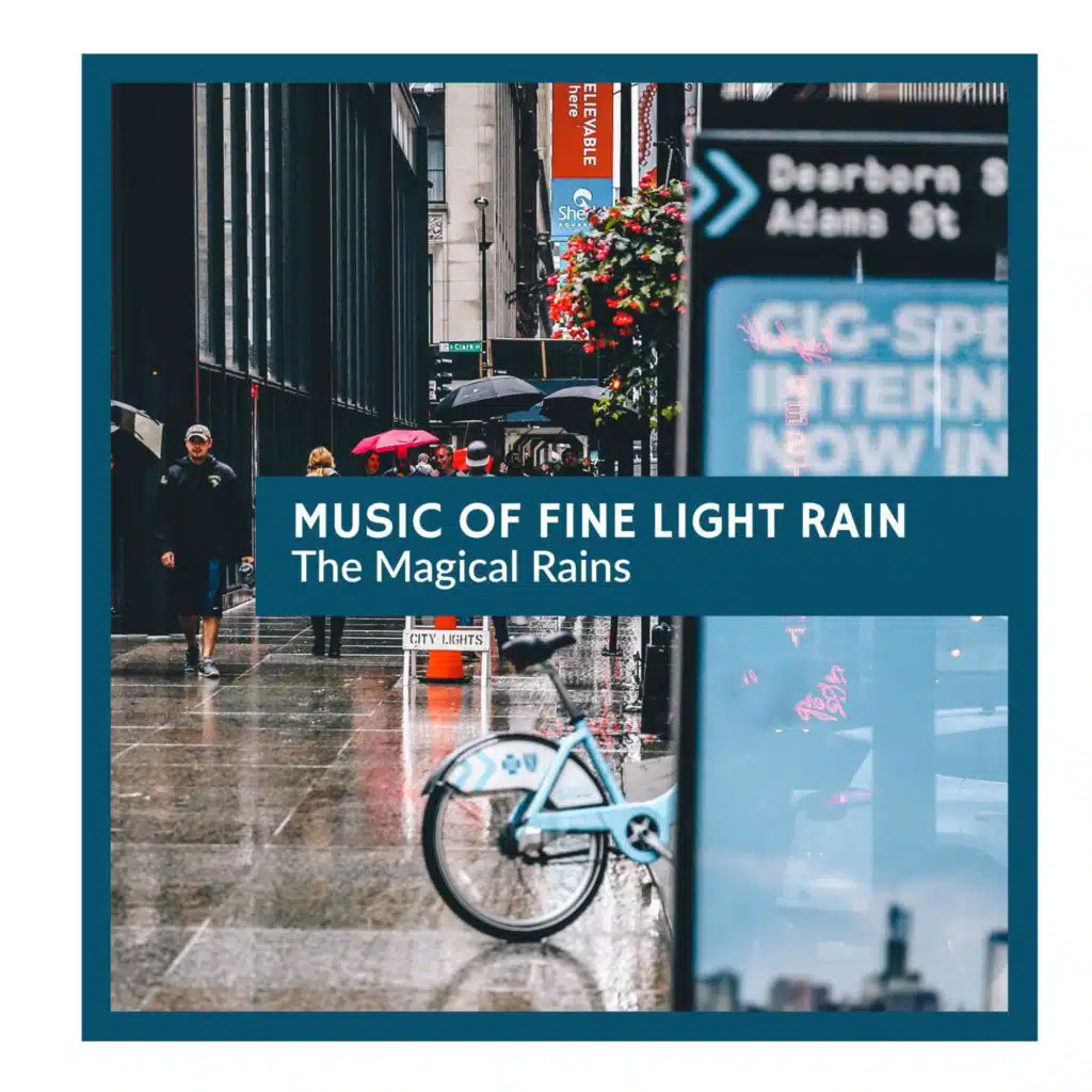 Selective Rain Music Collection