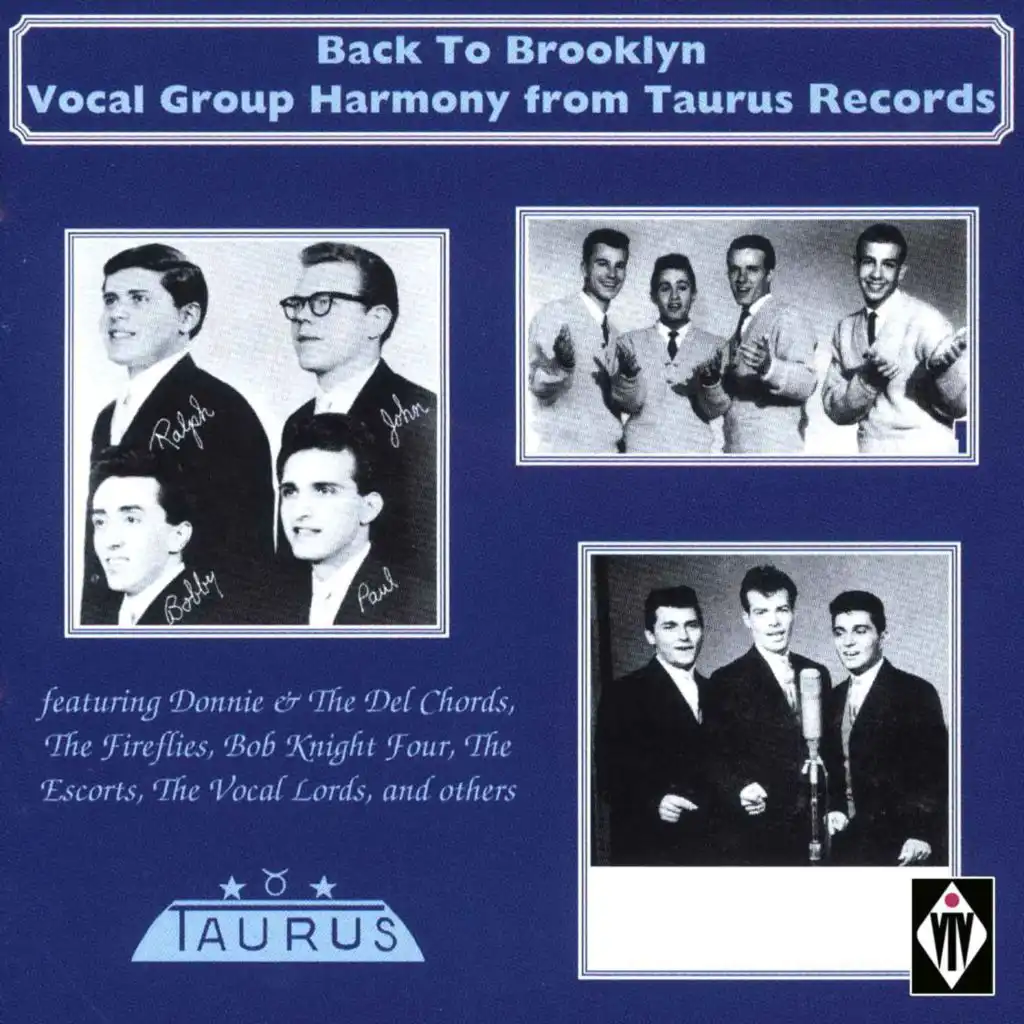Back to Brooklyn - Vocal Goup Harmony from Taurus