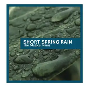 Short Spring Rain - The Magical Rains