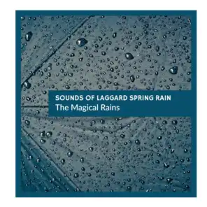 sounds of Laggard Spring Rain - The Magical Rains