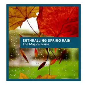 Enthralling Spring Rain - The Magical Rains
