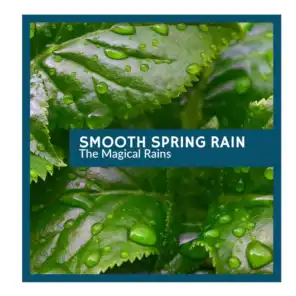 Smooth Spring Rain - The Magical Rains