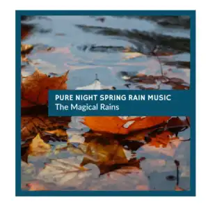 Pure night Spring Rain Music - The Magical Rains