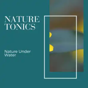 Appealing Nature Music Project