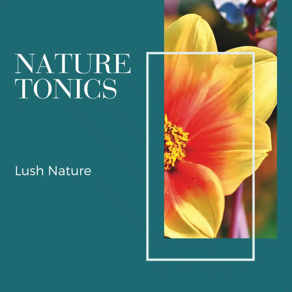 Martha's 9D Nature Harmonies