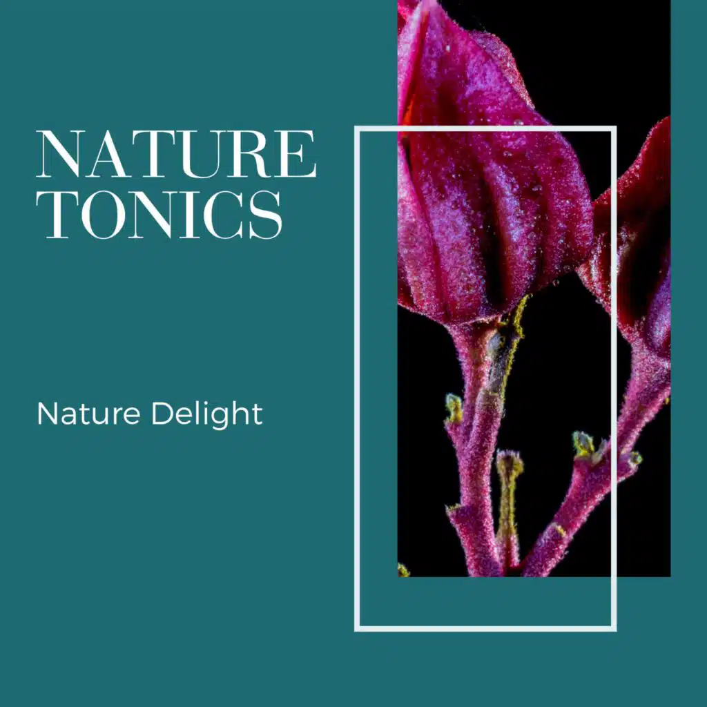 Oceanic Moon Nature Sounds