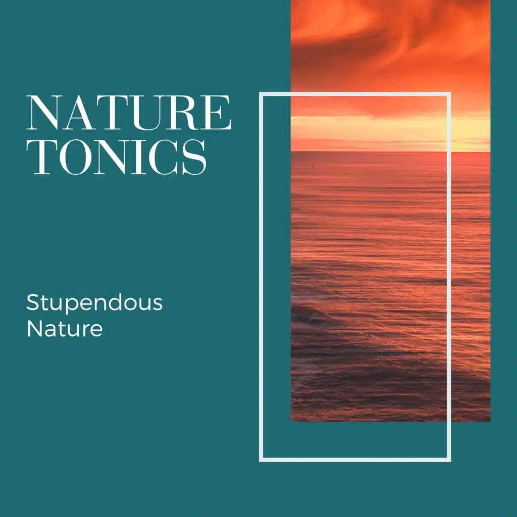 Blissful Oceanic Sound Library