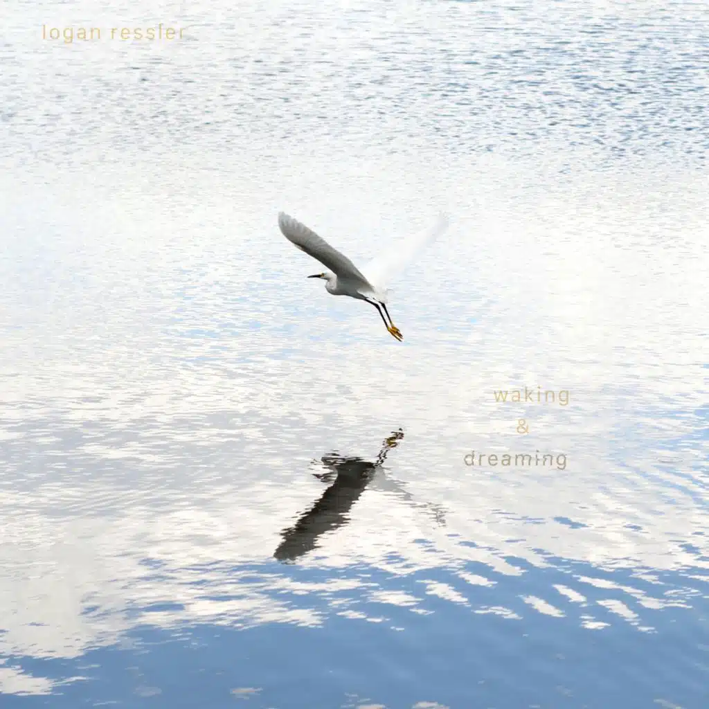 Waking & Dreaming