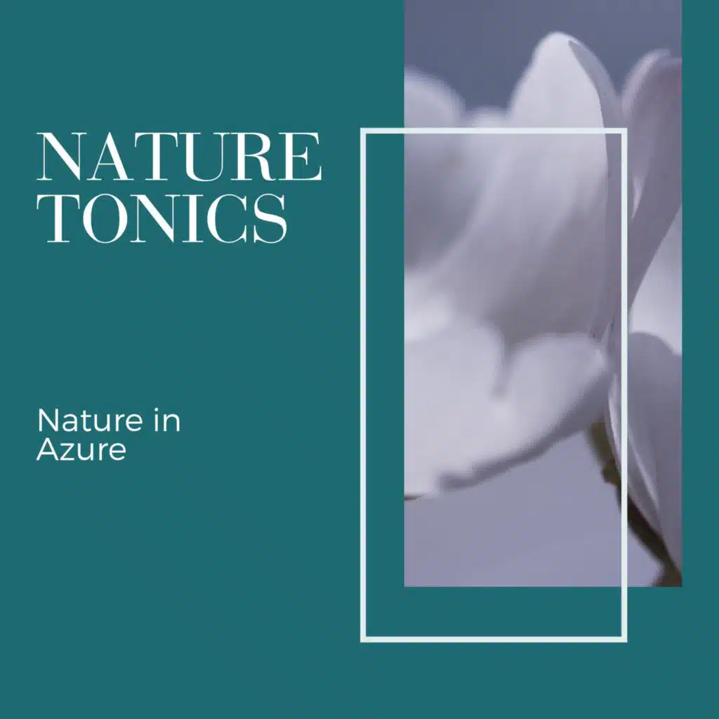 Bubble Winds Nature Music