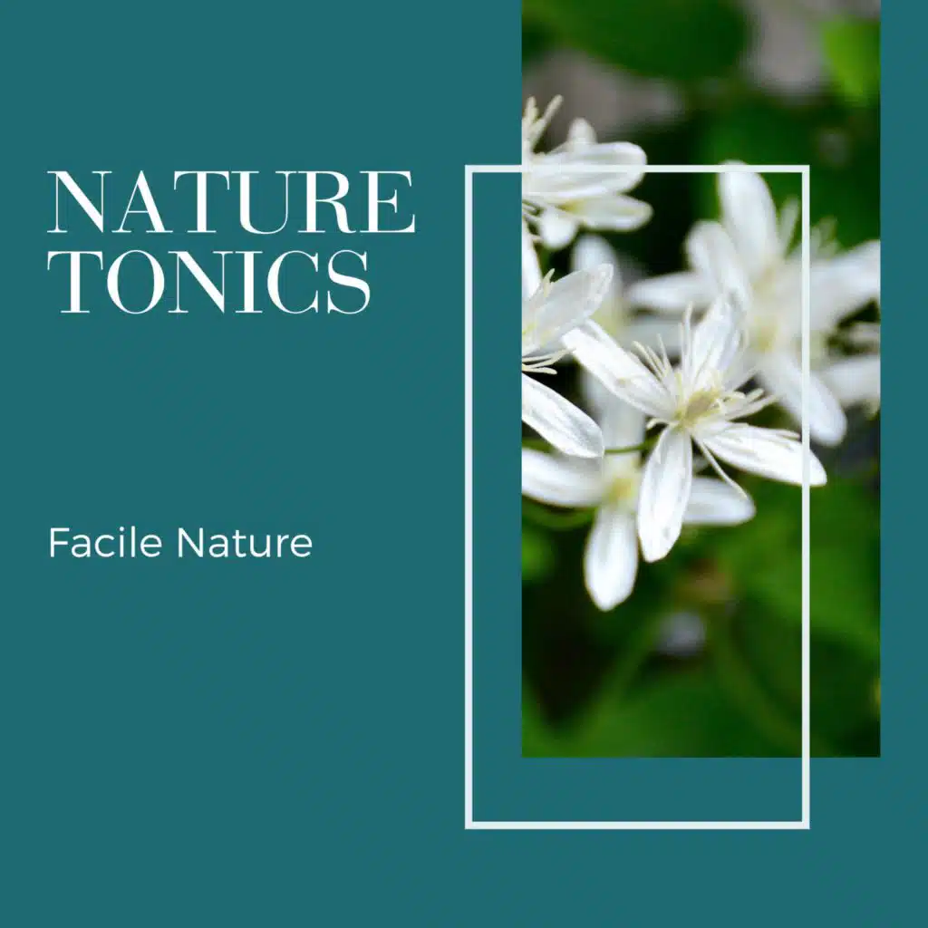 Relaxation Nature Sound Project