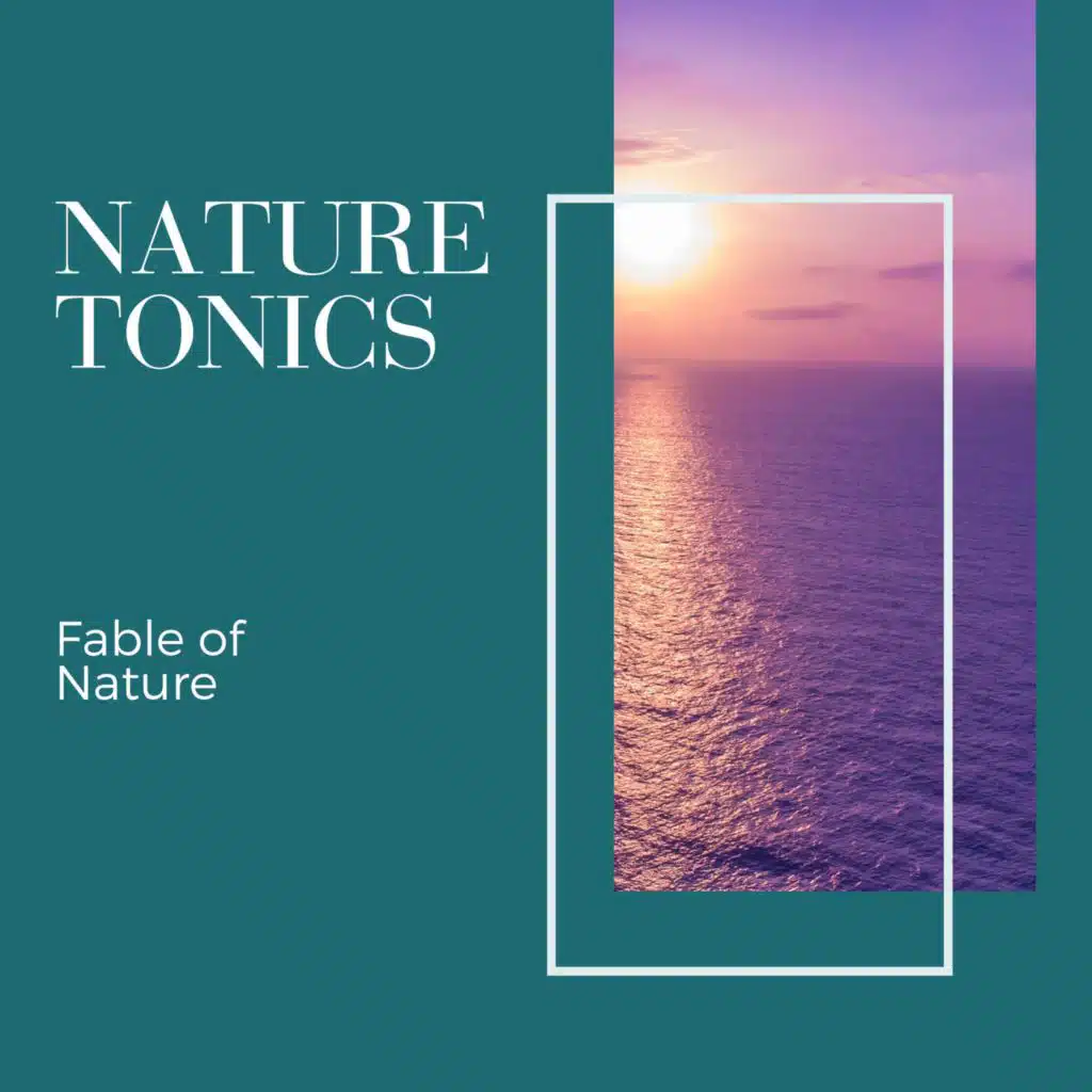 Soothing Nature Sounds Project
