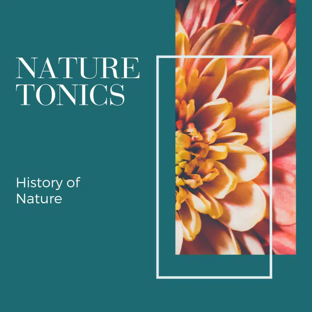 Spiritual Wave 9D Sounds