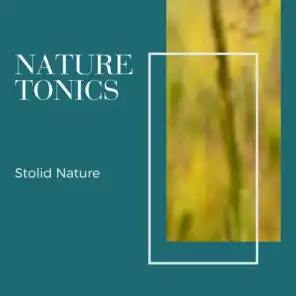 Soothing Nature Sounds Project