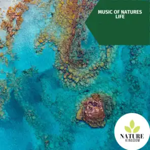 Music of Natures Life