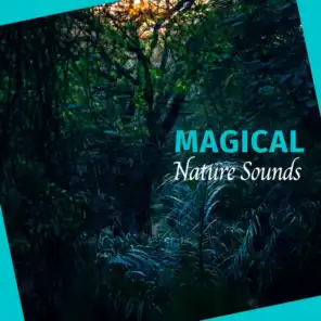 Magical Nature Sounds