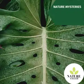 Nature Mysteries