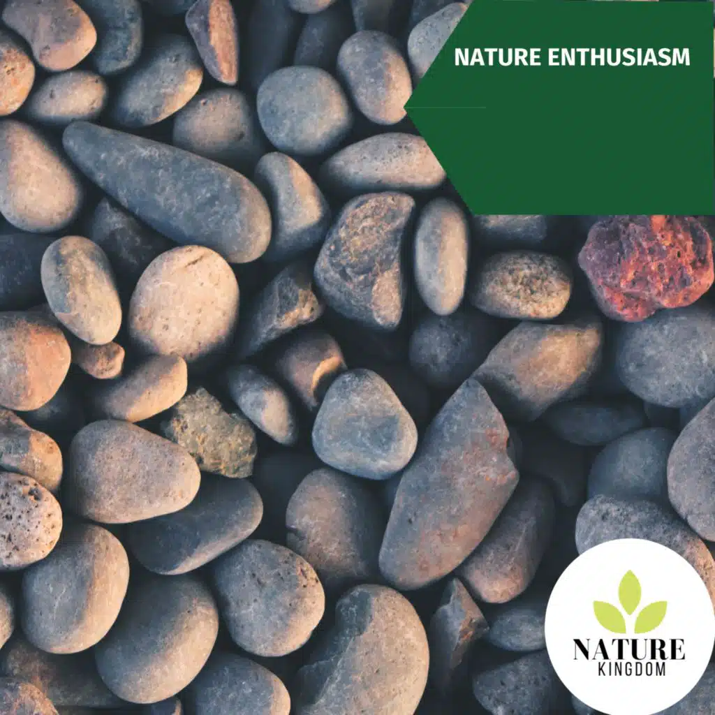 Nature Glory Amazing Music