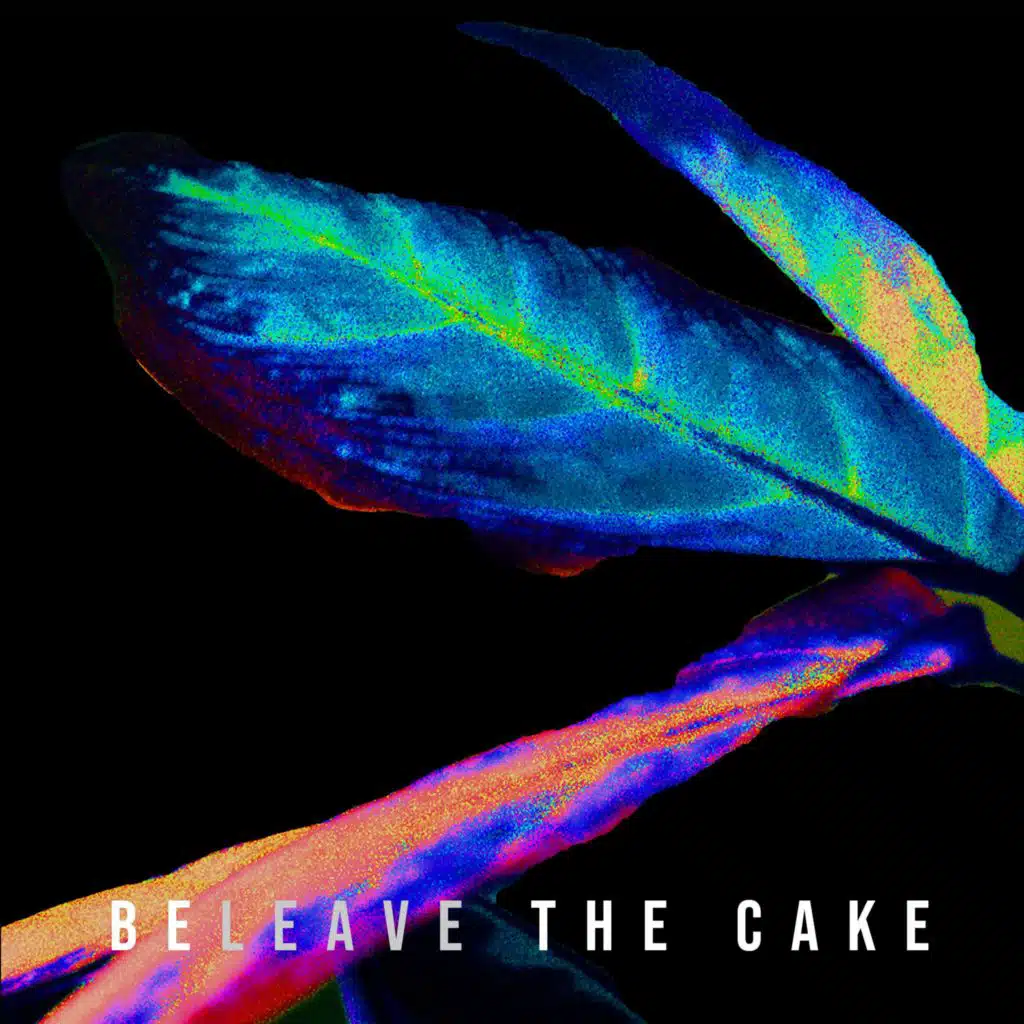 BeLeave the Cake