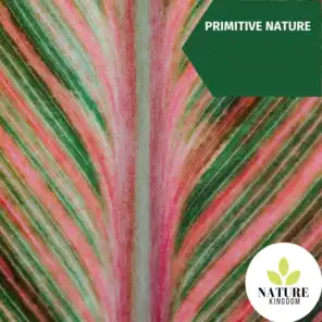 Primitive Nature