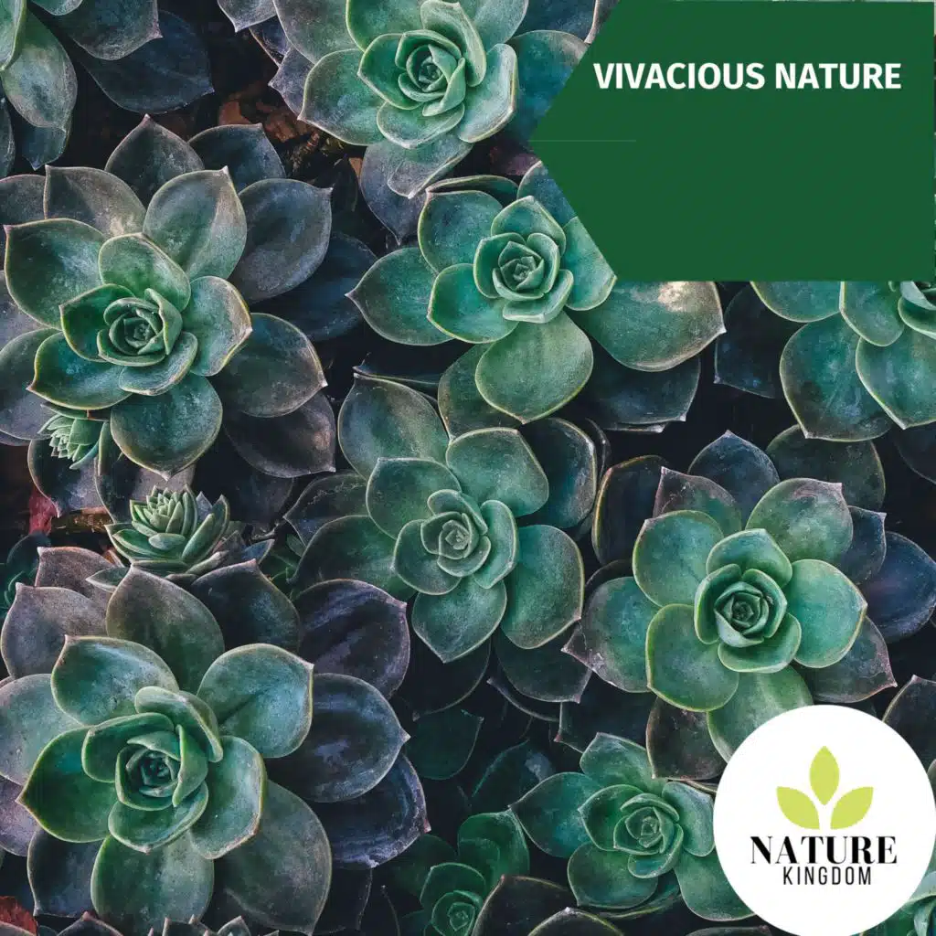 3D Thunderstorm Music