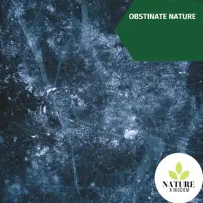 Obstinate Nature