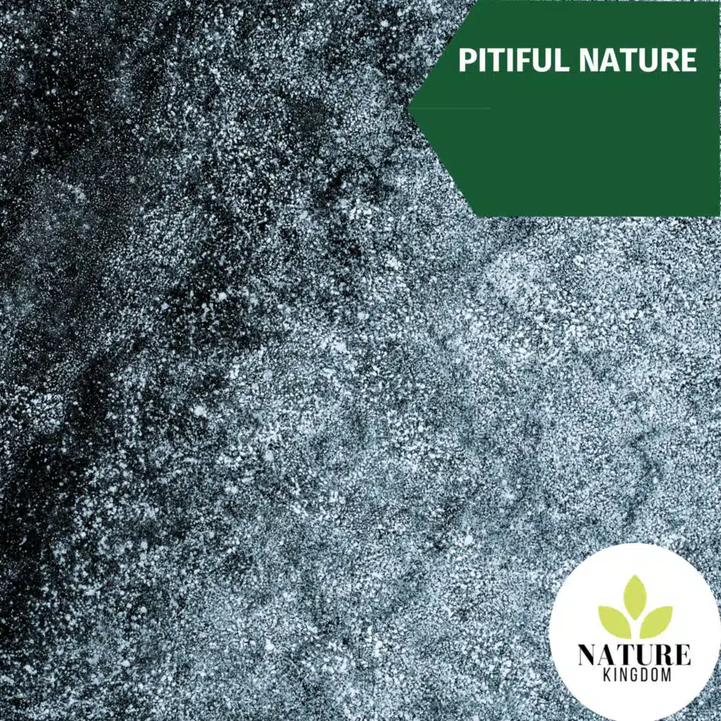 Sauna Sounds Nature Music