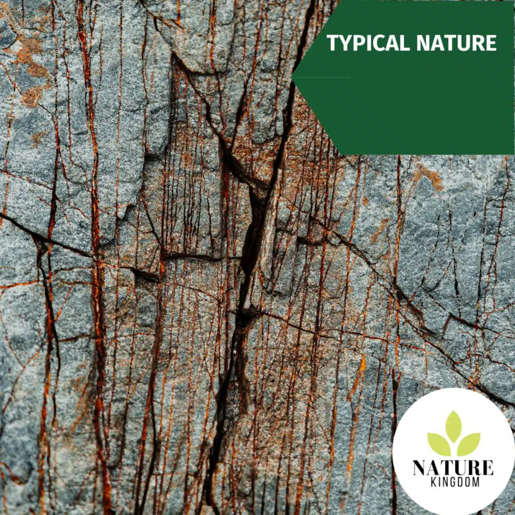 Fire Soul Nature Sounds