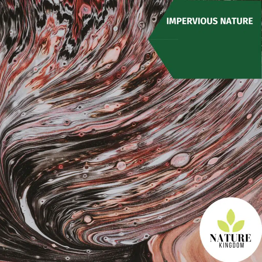 Forest Nature Music Production