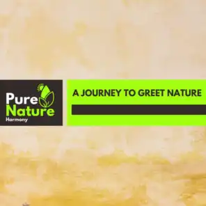 A Journey to Greet Nature